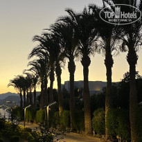 фото из отзыва ID 2593881