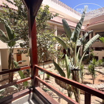 фото из отзыва ID 2593881