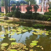 фото из отзыва ID 2593956