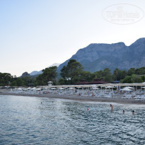 фото из отзыва ID 2594118