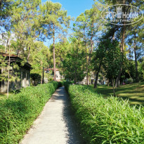 фото из отзыва ID 2594118