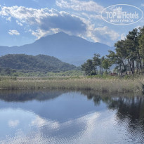 фото из отзыва ID 2594132