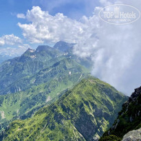 фото из отзыва ID 2594269