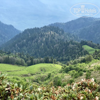 фото из отзыва ID 2594269