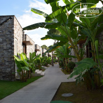 фото из отзыва ID 2594379