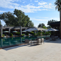 фото из отзыва ID 2594379