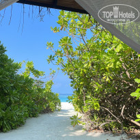 фото из отзыва ID 2594388