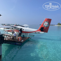 фото из отзыва ID 2594388