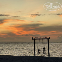 фото из отзыва ID 2594388