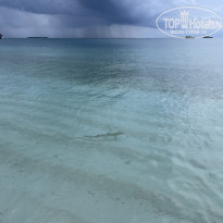 фото из отзыва ID 2594388