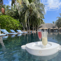 фото из отзыва ID 2594388