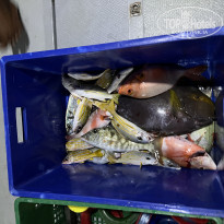 фото из отзыва ID 2594388