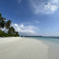 фото из отзыва ID 2594388