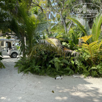 фото из отзыва ID 2594388