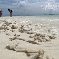 фото из отзыва ID 2594388