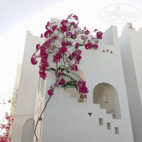 фото из отзыва ID 2594447