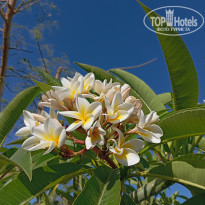 фото из отзыва ID 2594447