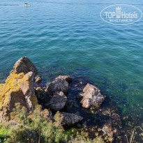 фото из отзыва ID 2594465