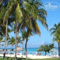 фото из отзыва ID 2594593