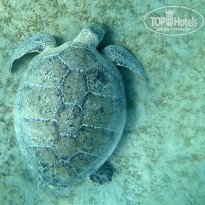 фото из отзыва ID 2594760