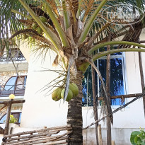 фото из отзыва ID 2594731