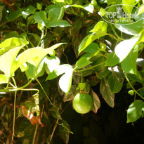 фото из отзыва ID 2594731