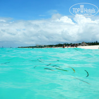 фото из отзыва ID 2594731