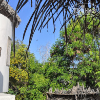 фото из отзыва ID 2594731