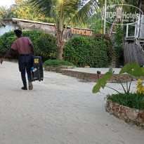 фото из отзыва ID 2594731