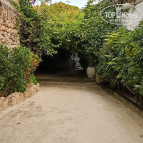 фото из отзыва ID 2594731