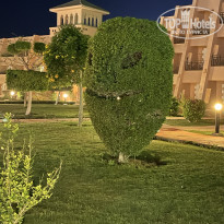 фото из отзыва ID 2594859