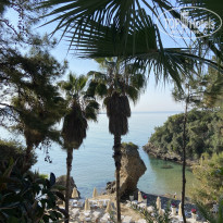 фото из отзыва ID 2594937