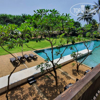 фото из отзыва ID 2594885