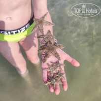 фото из отзыва ID 2594994