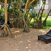 фото из отзыва ID 2594885