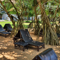 фото из отзыва ID 2594885