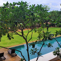 фото из отзыва ID 2594885