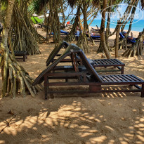 фото из отзыва ID 2594885