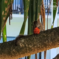 фото из отзыва ID 2594885