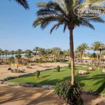 фото из отзыва ID 2595122