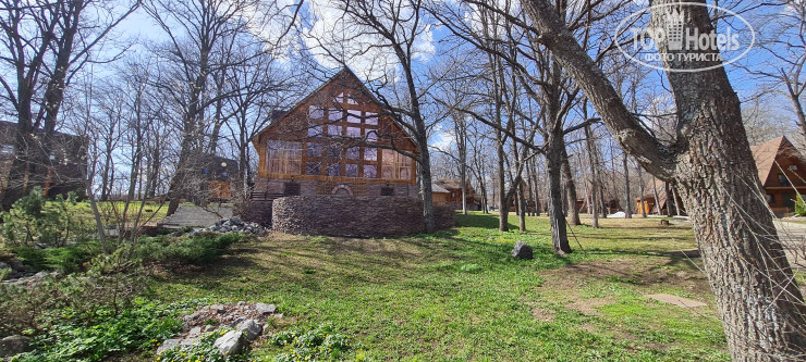 Лесная Сказка