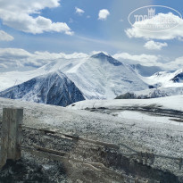 фото из отзыва ID 2594199