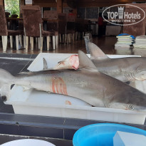 фото из отзыва ID 2595221