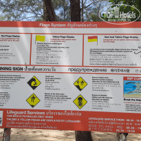 фото из отзыва ID 2595221