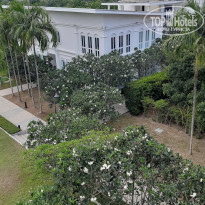 фото из отзыва ID 2595221