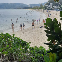 фото из отзыва ID 2595221