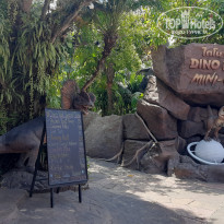 фото из отзыва ID 2595221