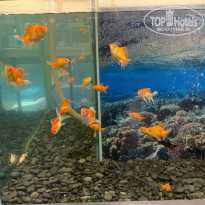 фото из отзыва ID 2595376