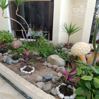 фото из отзыва ID 2595531