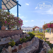 фото из отзыва ID 2595531